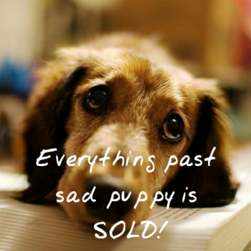 Everything past sad pupper is sold!